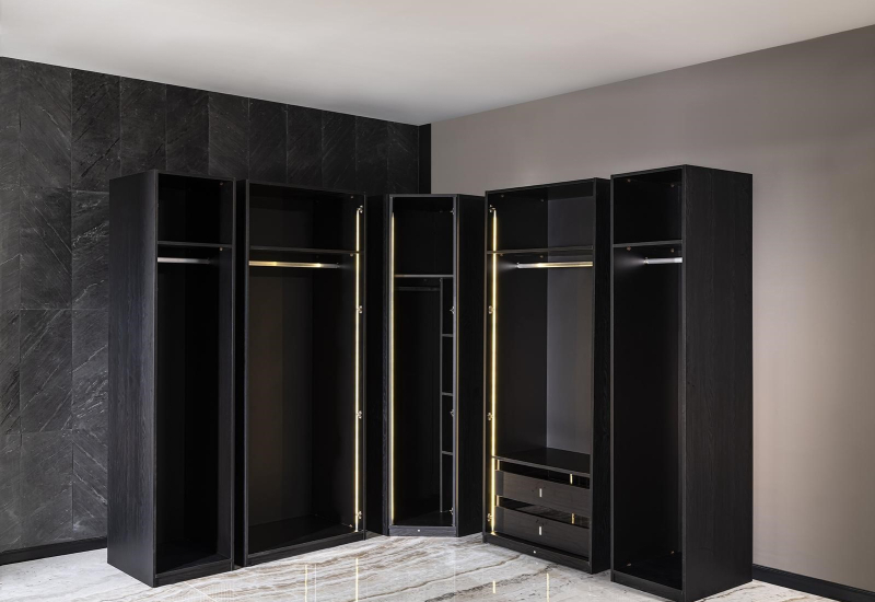 LİON GİYİNME DOLABI